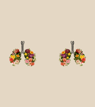 Breathing Spring Flower Lungs