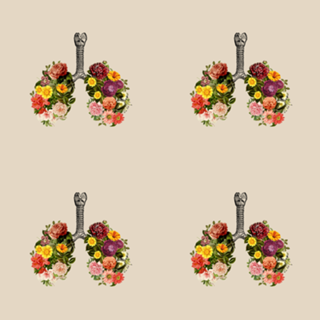 Breathing Spring Flower Lungs