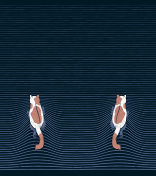 Swimming Cat Lines Dark Blue