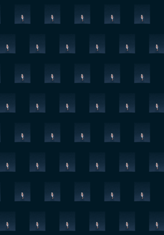 Swimming Cat Lines Dark Blue