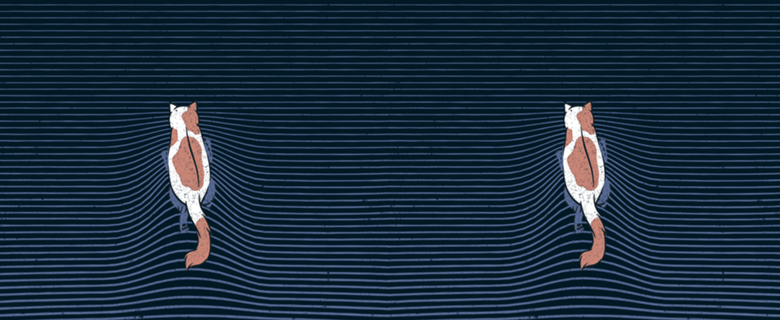 Swimming Cat Lines Dark Blue