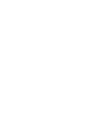 White Chrysanthemum