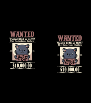 Wanted Cat