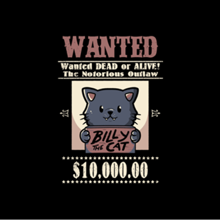 Wanted Cat
