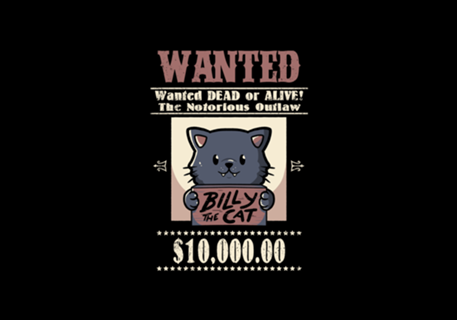 Wanted Cat