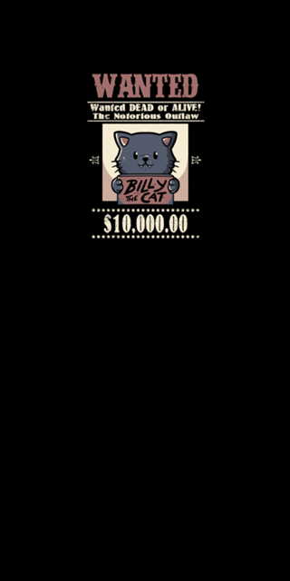 Wanted Cat