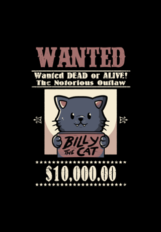 Wanted Cat