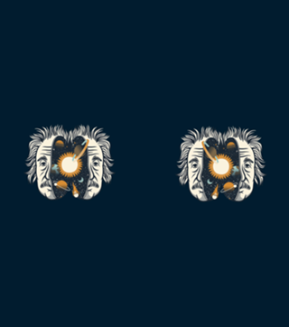 Albert Einstein Head Universe Physics