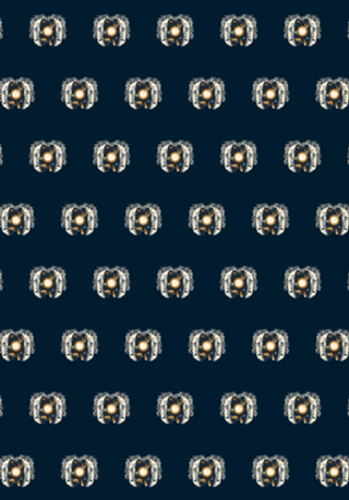 Albert Einstein Head Universe Physics