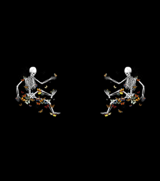 Skeleton Flowting on Space Butterflies