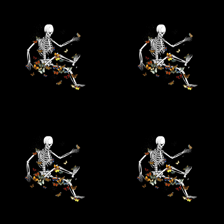 Skeleton Flowting on Space Butterflies