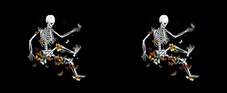 Skeleton Flowting on Space Butterflies