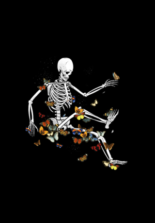 Skeleton Flowting on Space Butterflies