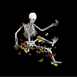 Skeleton Flowting on Space Butterflies