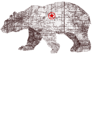 Bearlin
