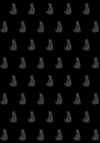 Curiosity Cat Typography