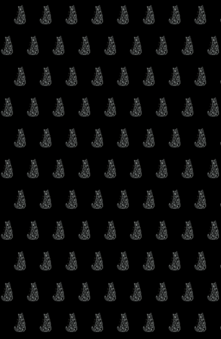 Curiosity Cat Typography