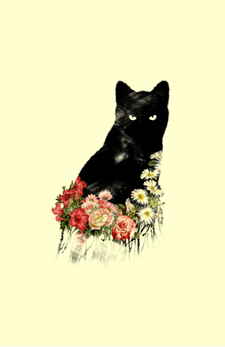 Black Cat Vintage Flower Good Luck
