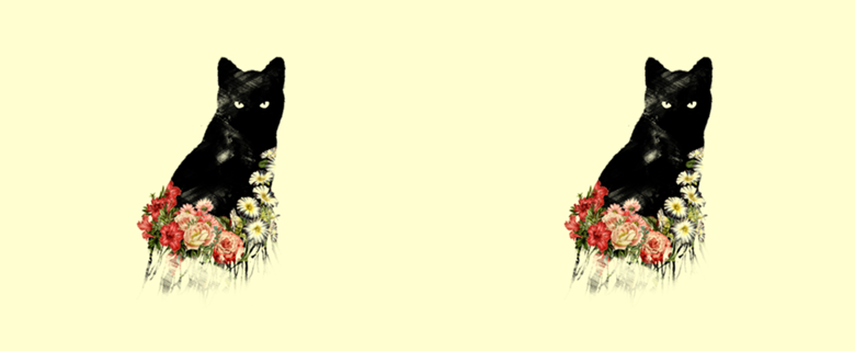 Black Cat Vintage Flower Good Luck