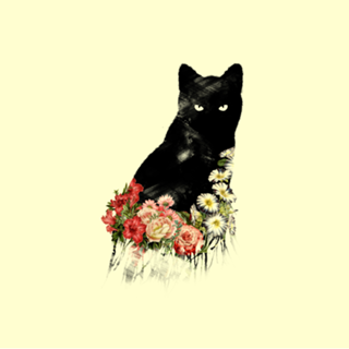 Black Cat Vintage Flower Good Luck