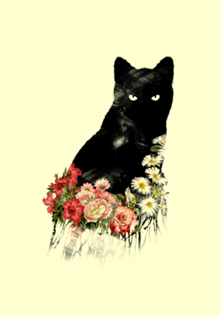 Black Cat Vintage Flower Good Luck