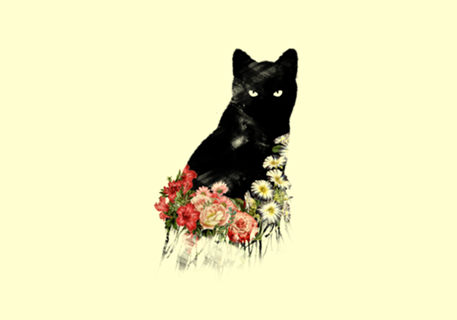 Black Cat Vintage Flower Good Luck