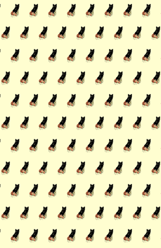 Black Cat Vintage Flower Good Luck