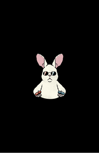 Follow The White Rabbit Pocket