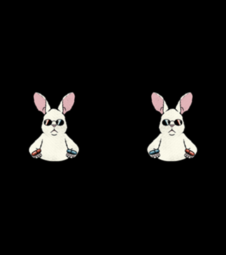 Follow The White Rabbit Pocket
