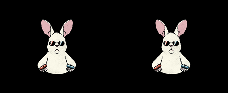 Follow The White Rabbit Pocket
