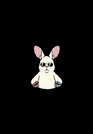Follow The White Rabbit Pocket