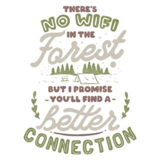 No WiFi but you'll find a better connection.