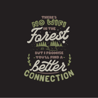No WiFi but you'll find a better connection.