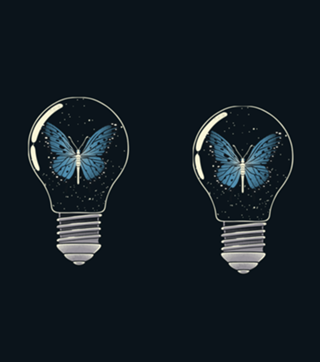 Trapped Blue Butterfly Monarch