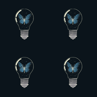 Trapped Blue Butterfly Monarch