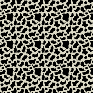 Cow Pattern Cat