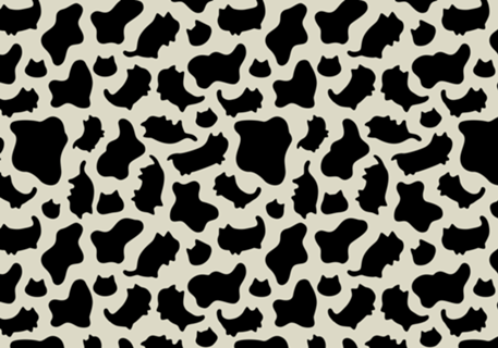Cow Pattern Cat