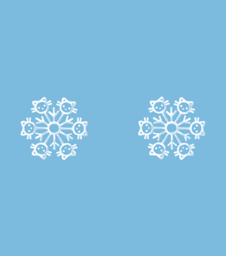 Snowflake Cat Winter