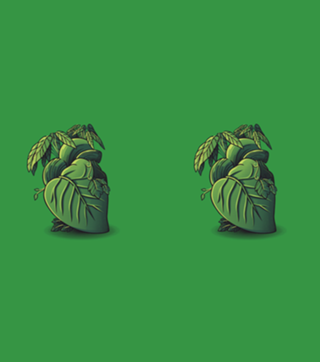 Plant Heart