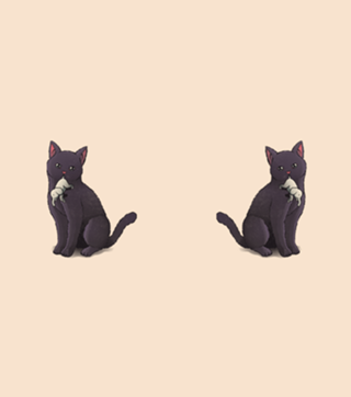 Giant Cat, Tiny Elephant