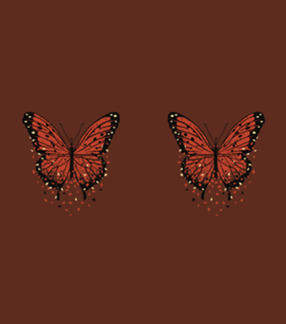 Monarch Butterfly Autumn Leaves