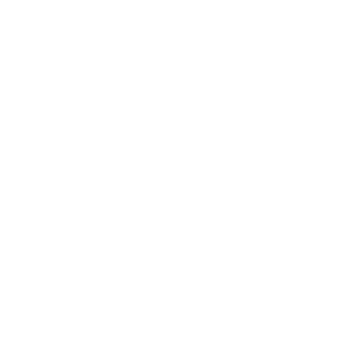 What a Year! It's February Dog and Cats
