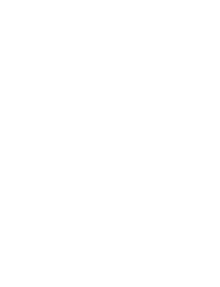 What a Year! It's February Dog and Cats