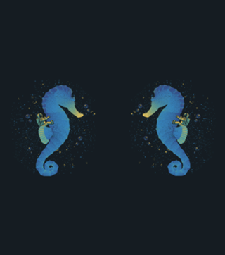 Riding a Sea Horse Astronaut