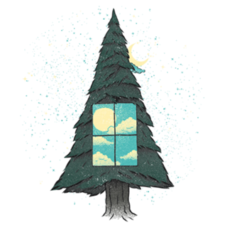 Go Outside To Look Inside