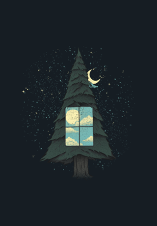 Go Outside To Look Inside