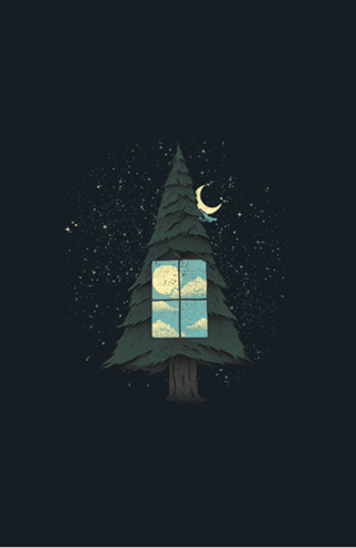 Go Outside To Look Inside