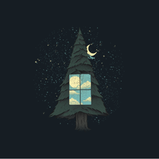 Go Outside To Look Inside