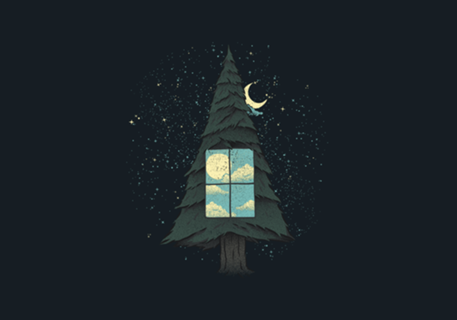 Go Outside To Look Inside