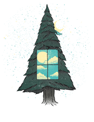 Go Outside To Look Inside
